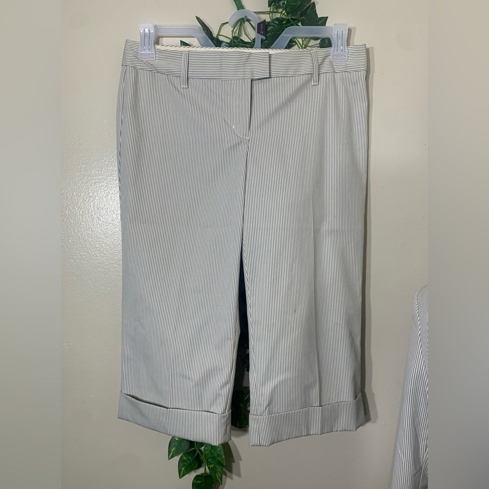 Express design studio editor Capri suit pants